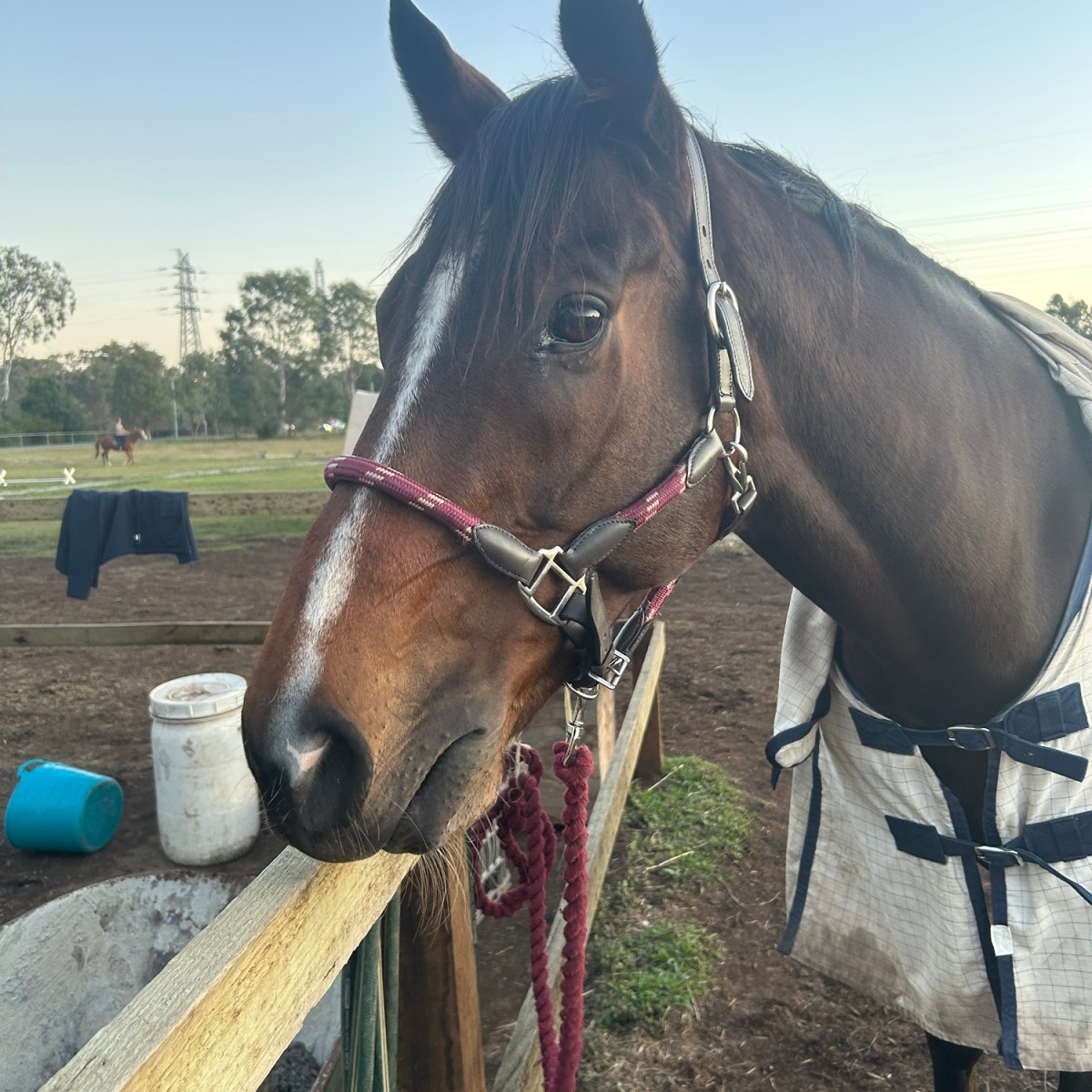 In loving memory of&nbsp;Harry